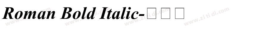 Roman Bold Italic字体转换